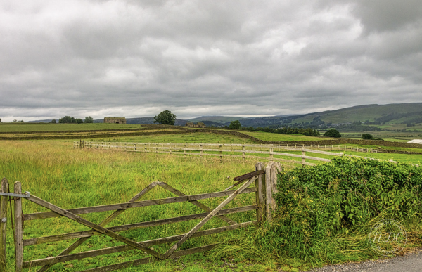 View from Rathmell [Nigel Crooks]